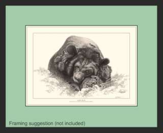   Fine Art Signed Print Picture Pencil Drawing Sketch Black Bear  