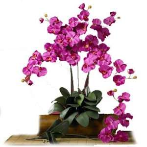  Nearly Natural Phalaenopsis Silk Orchid Flower w/Leaves (6 