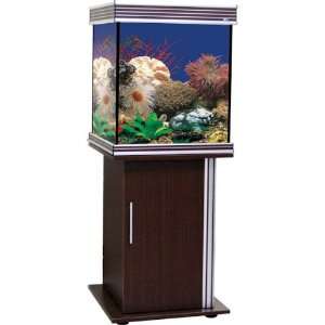   Penn Plax Empress Ii 45 Gallon Cube Aquarium And Stand