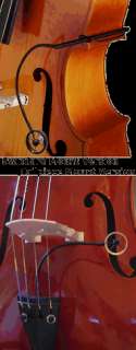 AMT S25B Upright Bass Condenser Microphone w/clamp  