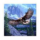 eagles mountains blanket queen mink style bedroom bed throw bedding