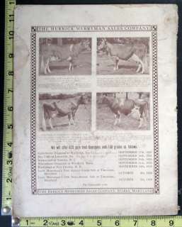 August 1926 Issue of Guernsey Breeders Journal RARE  