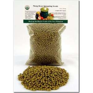  Organic Mung Bean Sprouting Seeds   Sprout Beans   Seed 