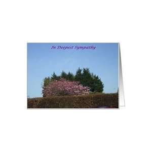  Sympathy,Gardening,Garden bushes, flowering shrub. Card 