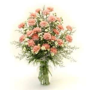 Classy Pink Carnation Bouquet Grocery & Gourmet Food
