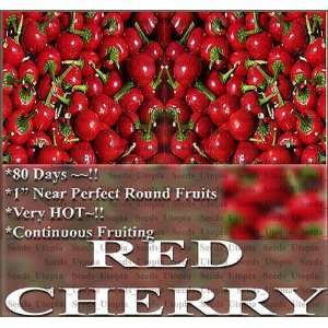  50 RED CHERRY HOT Pepper seeds VERY HOT NONSTOP FRUIT 