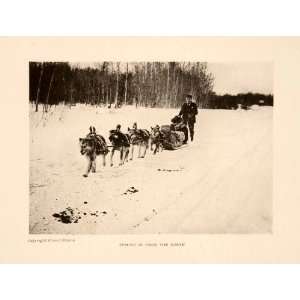  1913 Halftone Print Canada Dog Sledding Snow Husky Sled 
