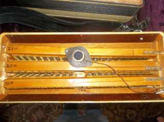   ACCORDIAN ACCORDION NICE WORKING DALLAPE CASE 120 BUTTONS ITALY MADE
