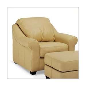 Promenade Sundown Distinction Leather Concord Leather Chair (multiple 