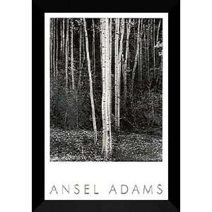 Ansel Adams Framed Art 28x40 Aspens
