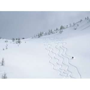 Skiing in Powder Basin, Purcell Mountains, British Columbia Stretched 