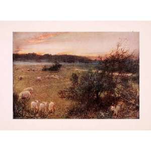 1909 Print Winchelsea Meadows Albert Goodwin Sheep Field 