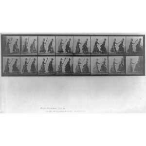   with broom,Eadweard Muybridge,Animal Locomotion,c1887