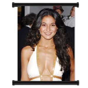  Emmanuelle Chriqui Fabric Wall Scroll Poster (16x21 