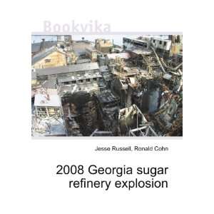  2008 Georgia sugar refinery explosion Ronald Cohn Jesse 