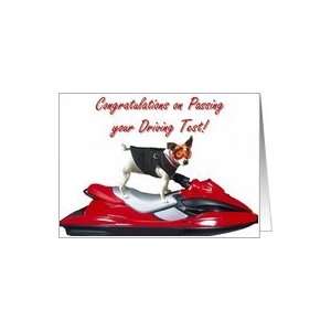  Congratulations on passing Driving Test Jack Russel 