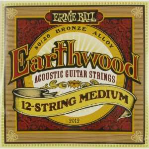 Ernie Ball Twelve String Acoustic Guitar   Earthwood 12 String Medium 
