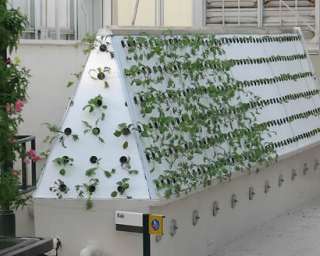 PDF  Hydroponic DIY System  Grow Lamp Tomato Nutrient  