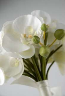 10 Cream White Phalaenopsis Orchid Bouquet W/ Clutch  