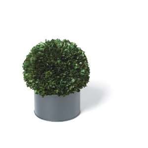  Foreside Boxwood Globe Topiary, 10 Inch