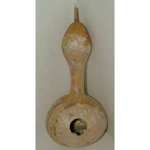 Birdhouse Gourd #5