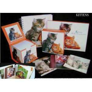  CAT STATIONERY COLLECTION