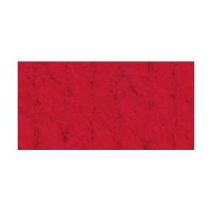  Bernat Softee Chunky Solid & Ragg Yarn Berry Red 161439 