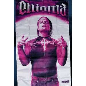  JEFF HARDY   WALL BANNER Toys & Games