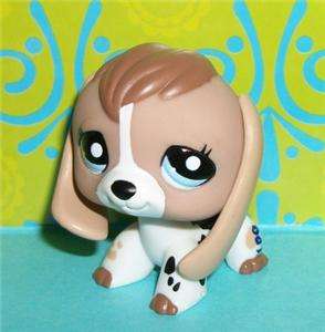 Littlest Pet Shop~#2207 SPOTTED BEAGLE PUPPY DOG Blue Eyes~LPS T107 