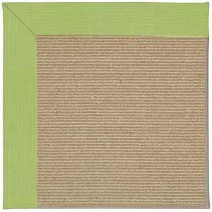  Capel Zoe Sisal 247 Parakeet 2 6 x 8 Runner Area Rug 