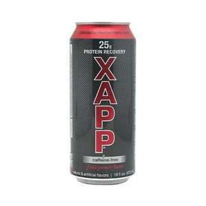  Designer Protein XAPP Protein Recovery   Fruit Punch   12 
