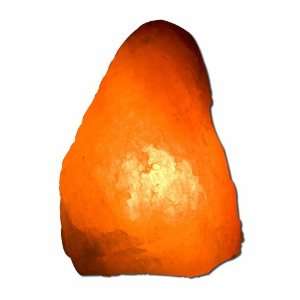  Natural Series Salt Lamps Small Lamp w/Base W101 Beauty