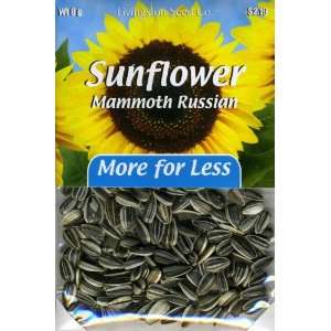  Plus Pack   Sunflower   Mammoth Russian Patio, Lawn 