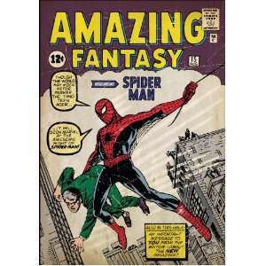   Spiderman No1 Peel and Stick Comic Book Cover