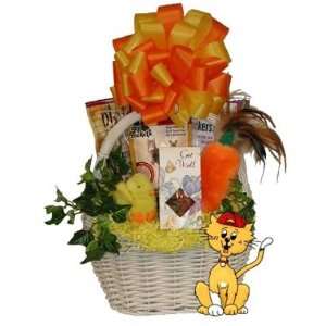 Kitty Get Well Gift Basket  Basket Theme BIRTHDAY  Bow Style Elegant 