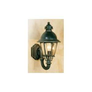   Light Outdoor Wall Light in Verde Bronze with Clear Bent Beveled Glass