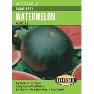  Watermelon Sugar Baby Seeds Patio, Lawn & Garden