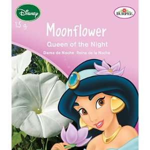  Disney Princess, Moonflower, Queen of the Night 1 Pkt 